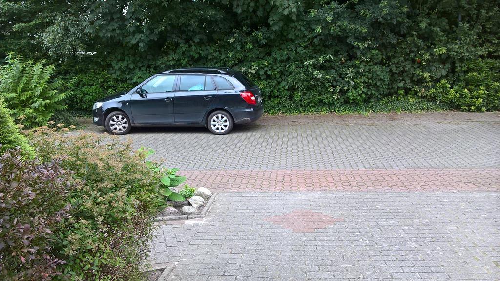 Ferienwohnung Fuchskuhle Bockhorn  Dış mekan fotoğraf