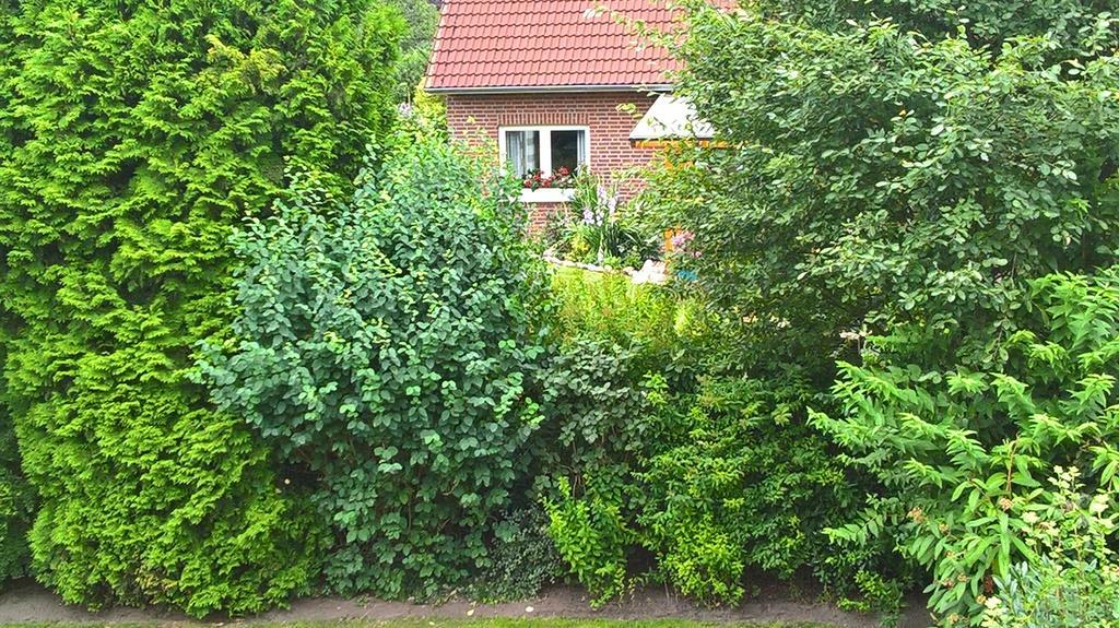 Ferienwohnung Fuchskuhle Bockhorn  Dış mekan fotoğraf